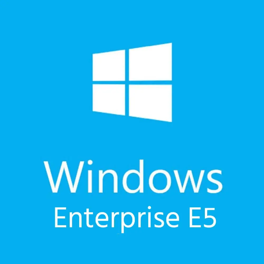 Microsoft Windows VDA E5