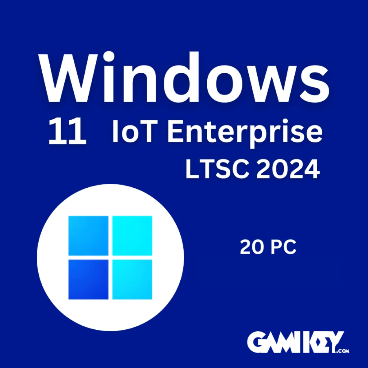 Microsoft Windows 11 IoT Enterprise LTSC 2024
